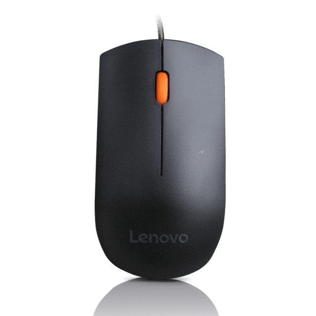 LENOVO 300 USB MOUSE